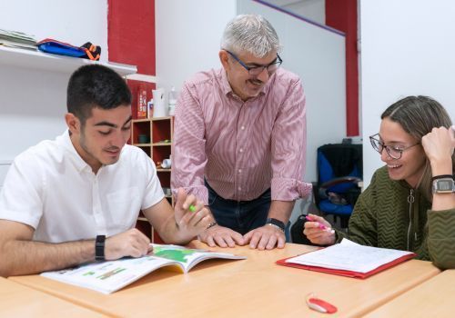 academia de idiomas online goal